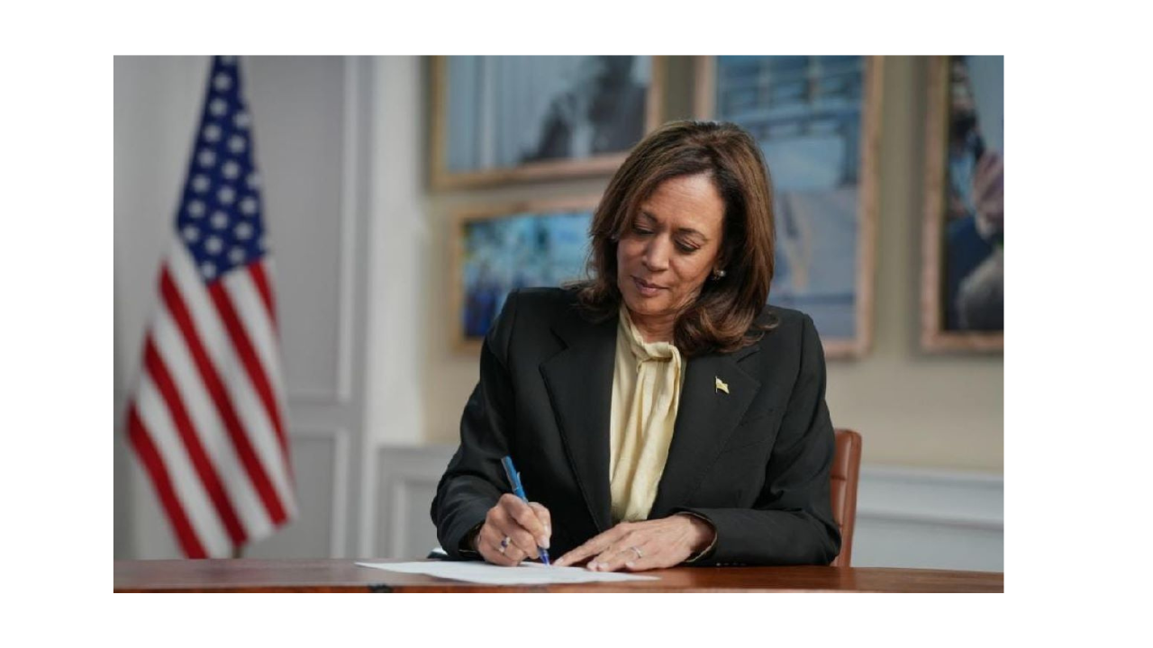 US Election 2024 Kamala Harris Questions the Current Order