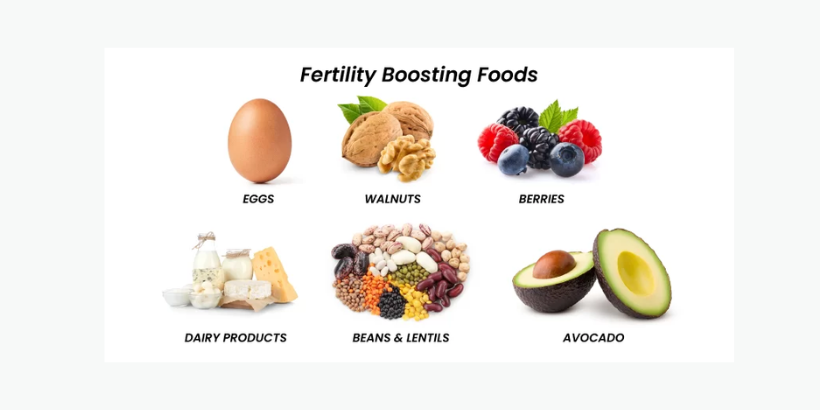 Fertility Diet