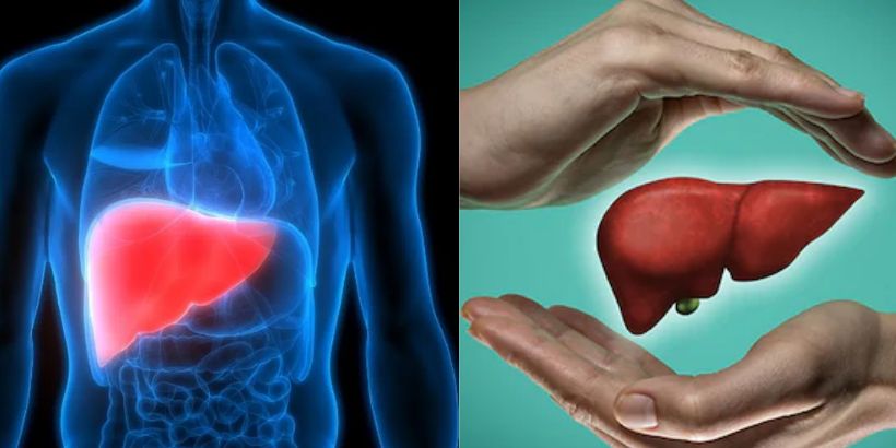 Fatty Liver : इन वजहों को अनदेखा करने से हो सकती है फैटी लिवर की समस्या 