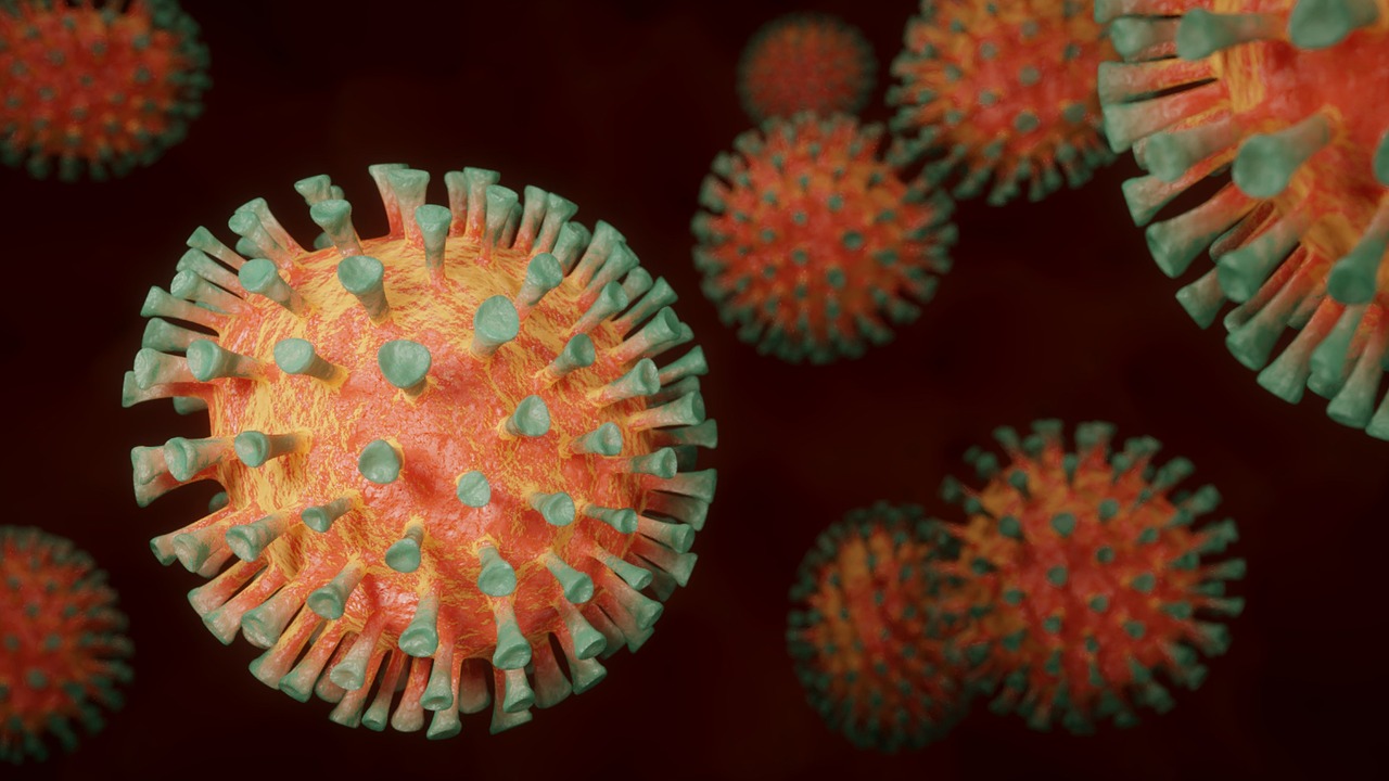 Human Metapneumovirus (HMPV)