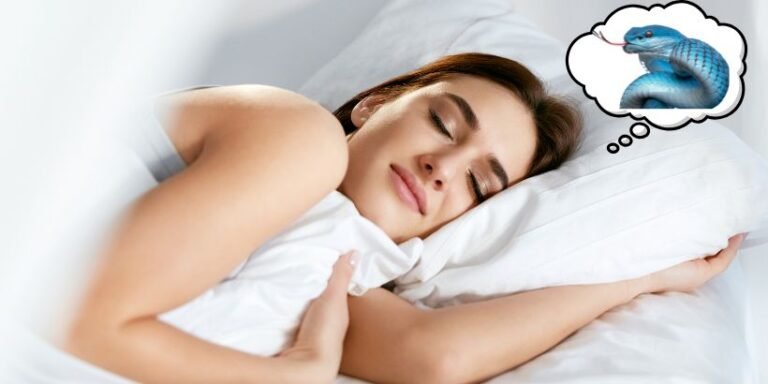 Snake Dream Meaning Hidden Messages & Interpretations
