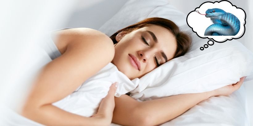 Snake Dream Meaning Hidden Messages & Interpretations