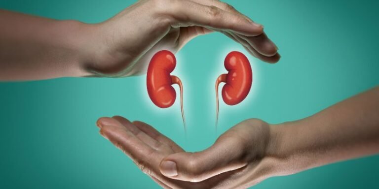 World kidney day
