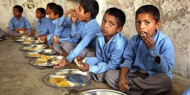 Midday meal snake incident