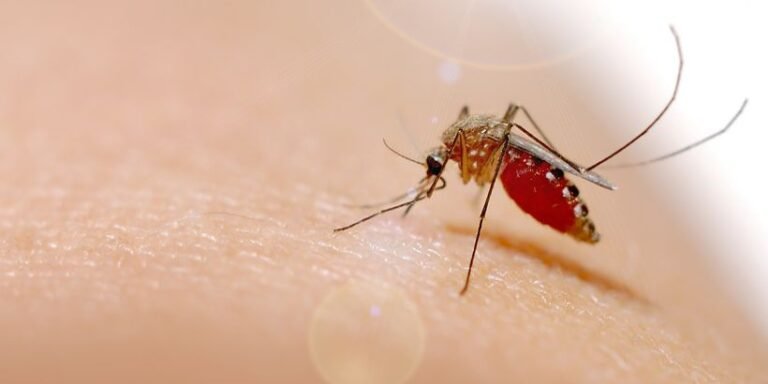 World Malaria day 2025