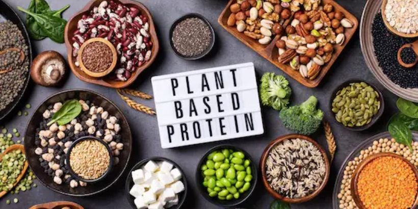 Discover 5 powerful vegan protein