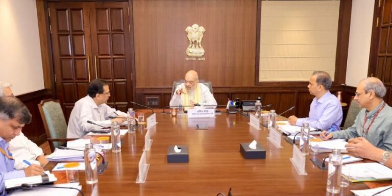 India Digital Census 2025