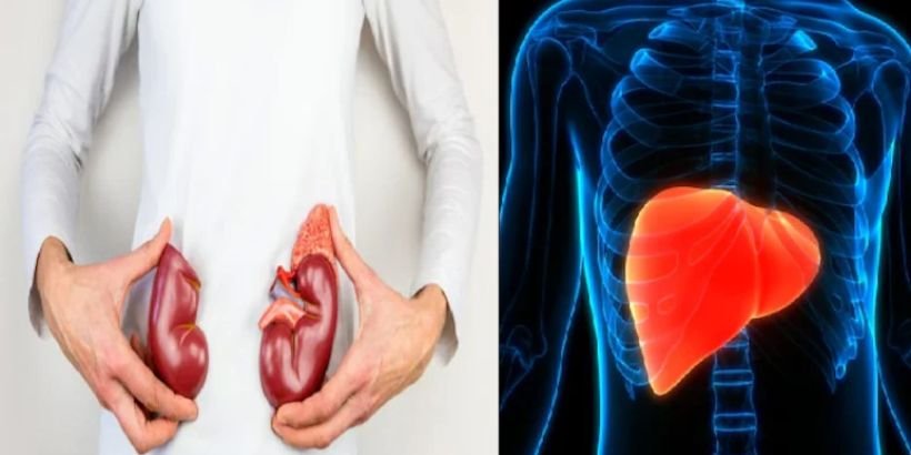 healthy fruits for liver