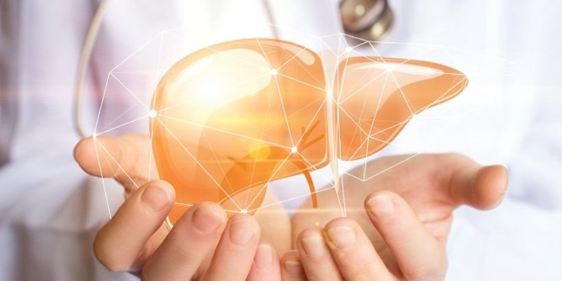 6 Tips from Harvard Doctors to Keep Your Liver Healthy