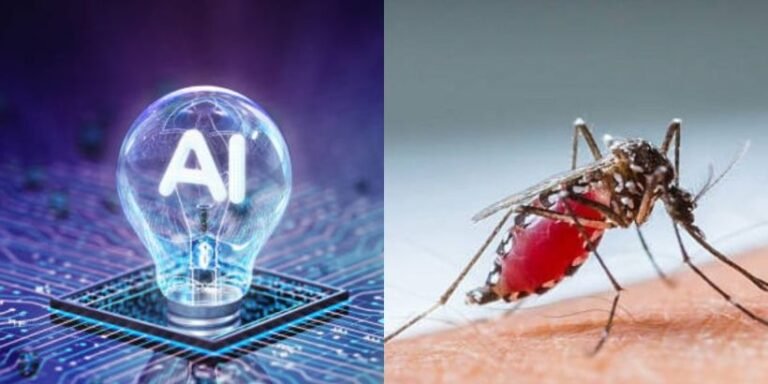 monsoon mosquito control