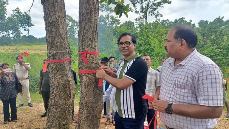 रक्षाबंधन पर पेड़ों को राखी बांधकर जंगल बचाने का संकल्प; लोहरदगा में वनकर्मियों और ग्रामीणों की अनोखी पहल